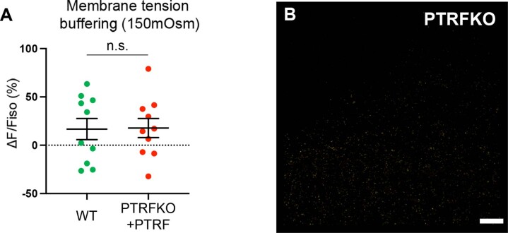 Extended Data Fig. 3