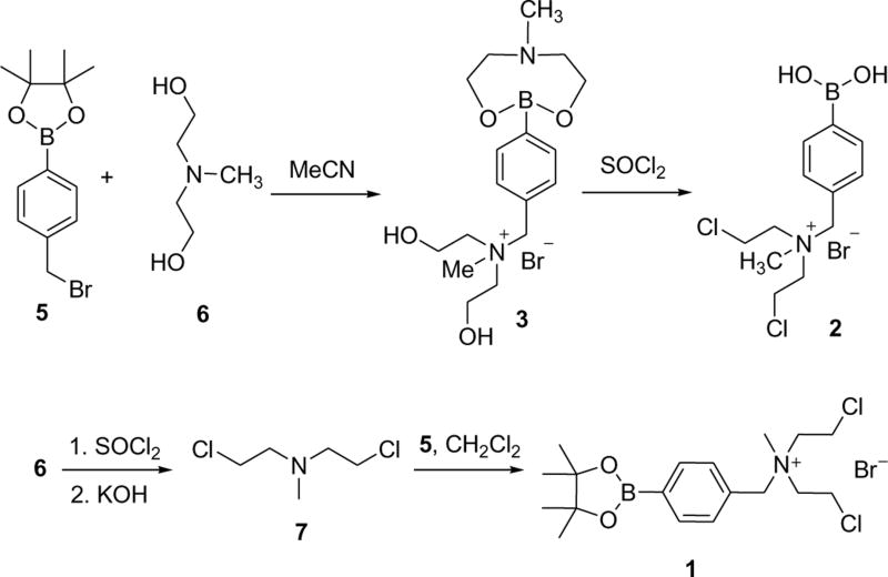 Scheme 1