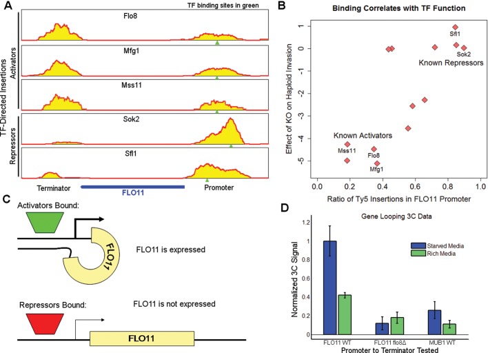 FIGURE 4: