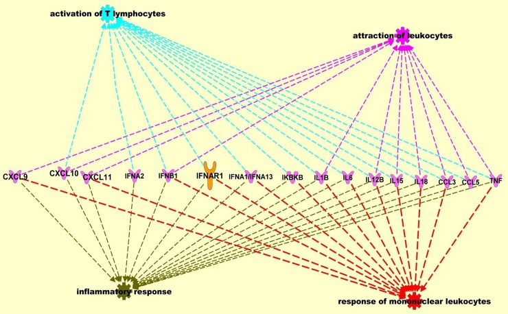 Fig 6