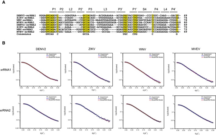 Figure EV3