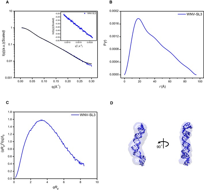 Figure EV4