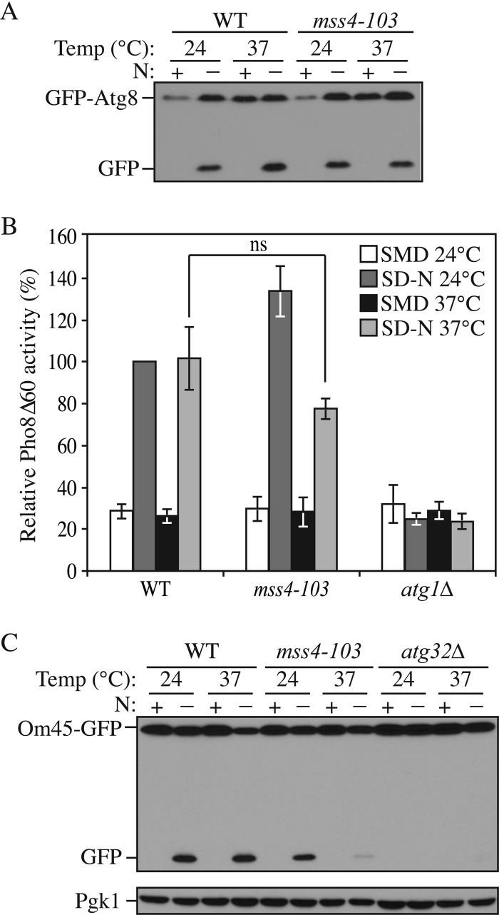 FIGURE 7.