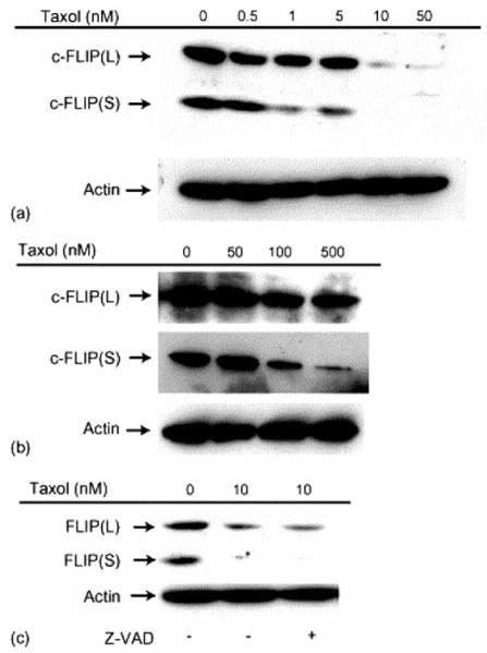 Fig. (5)