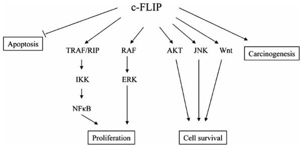 Fig. (4)