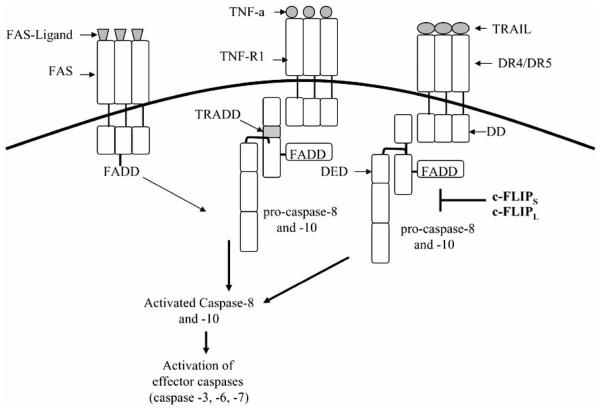 Fig. (2)