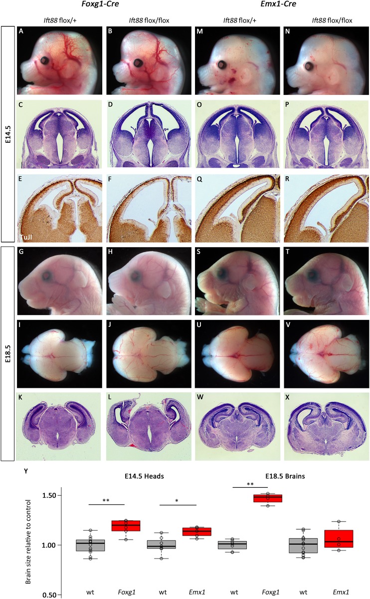 Fig 8