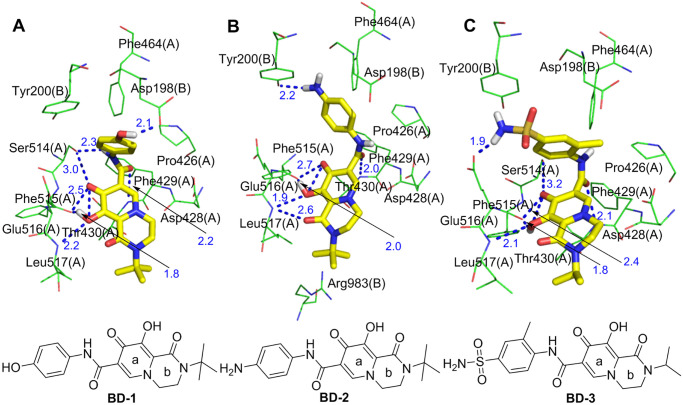 Fig 10