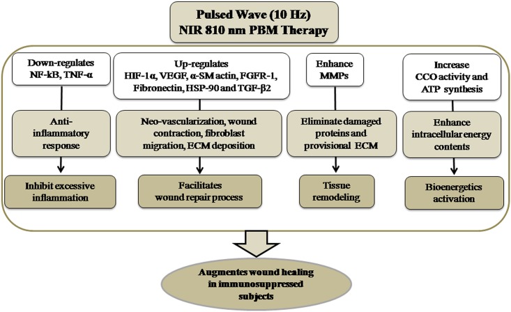 Fig 9