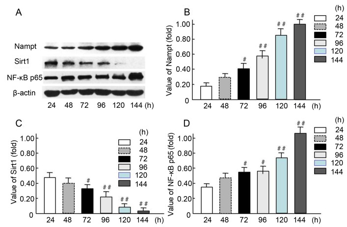 Figure 4.