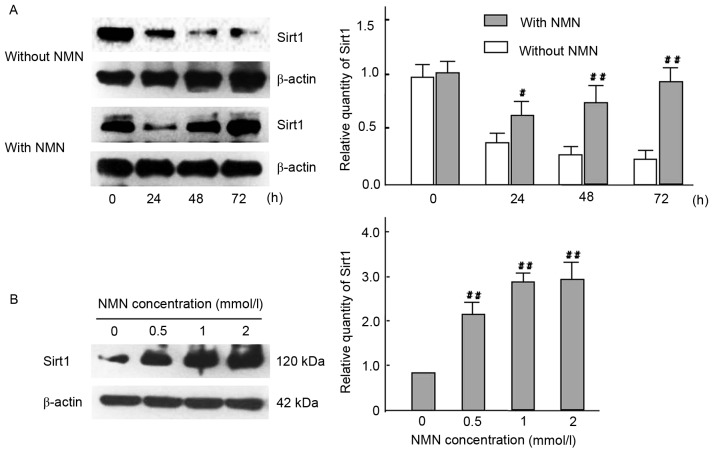 Figure 10.