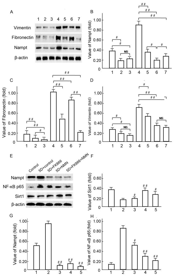 Figure 11.