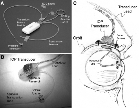 Figure 1.