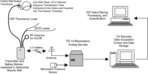 Figure 2.