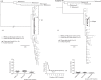 Fig. 2 (Continued)