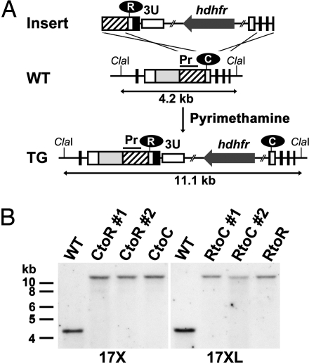 Fig. 3.