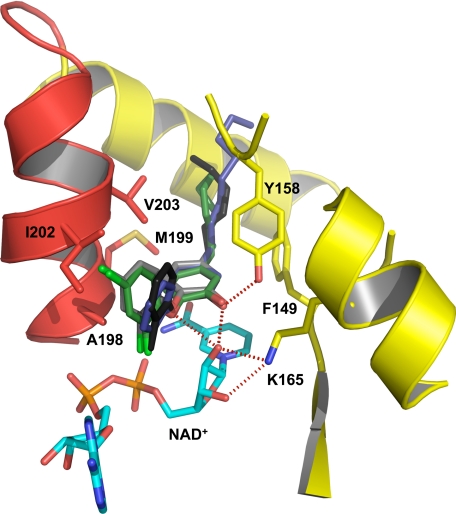 FIGURE 5.