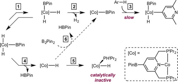 Scheme 5