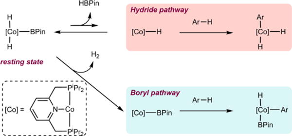 Scheme 2