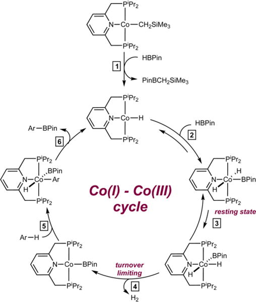 Scheme 4