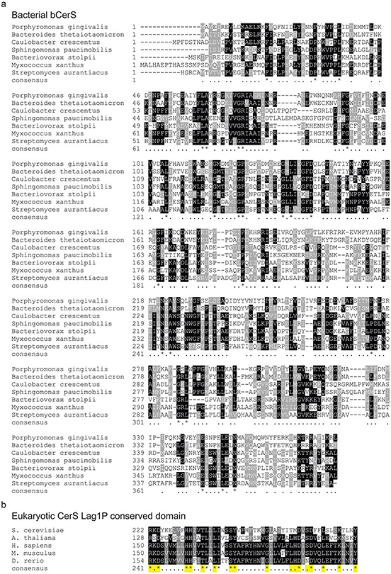 Extended Data Fig. 10