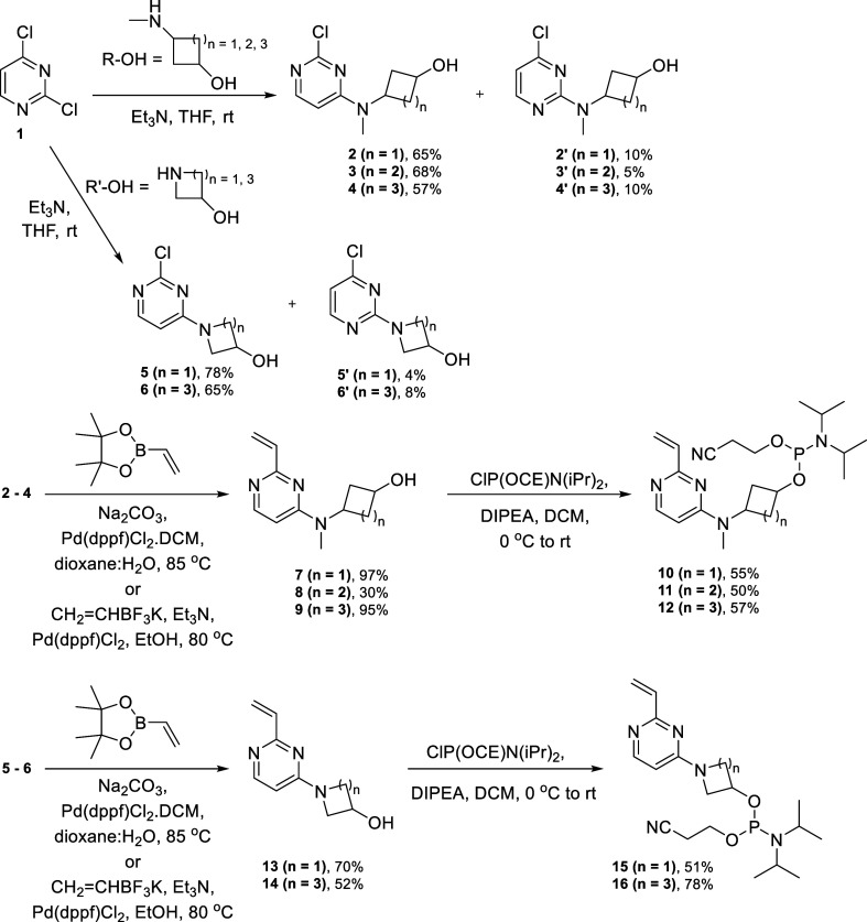 Scheme 1