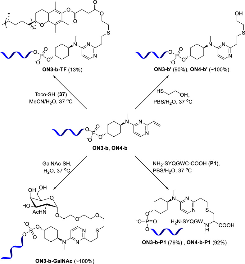 Scheme 8