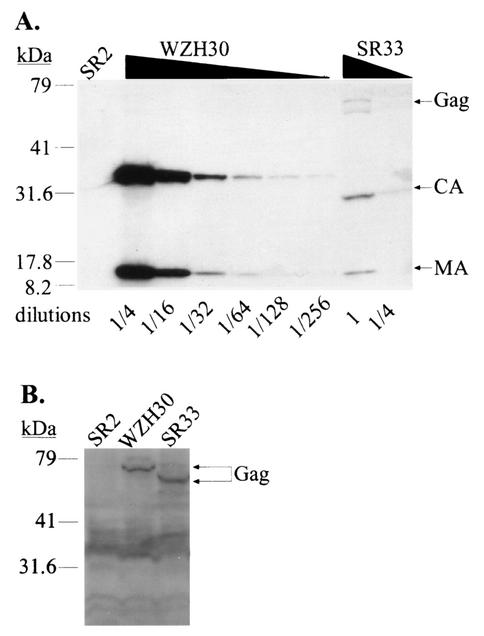 FIG. 3.