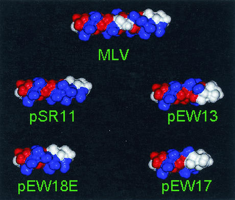 FIG. 8.