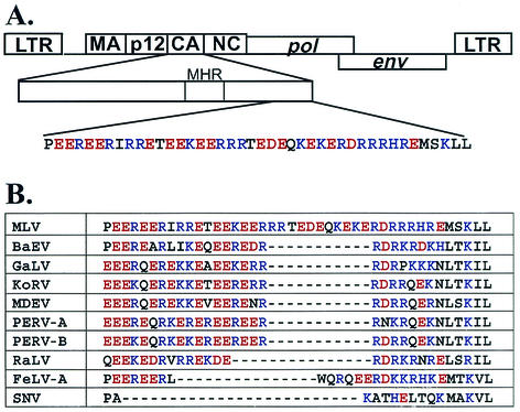 FIG. 1.