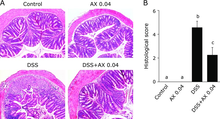 Fig. 2