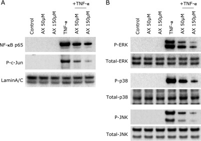 Fig. 6