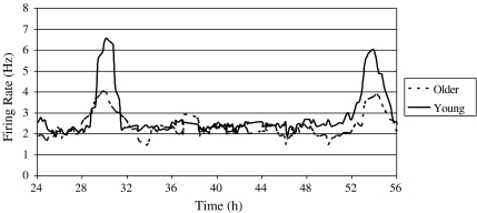 Fig. 1