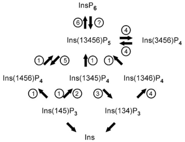 Fig. 13.1