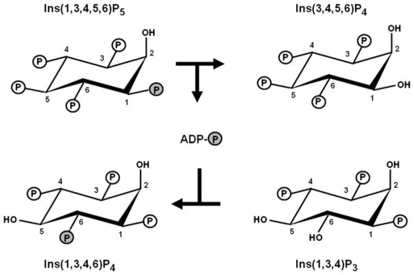 Fig. 13.2