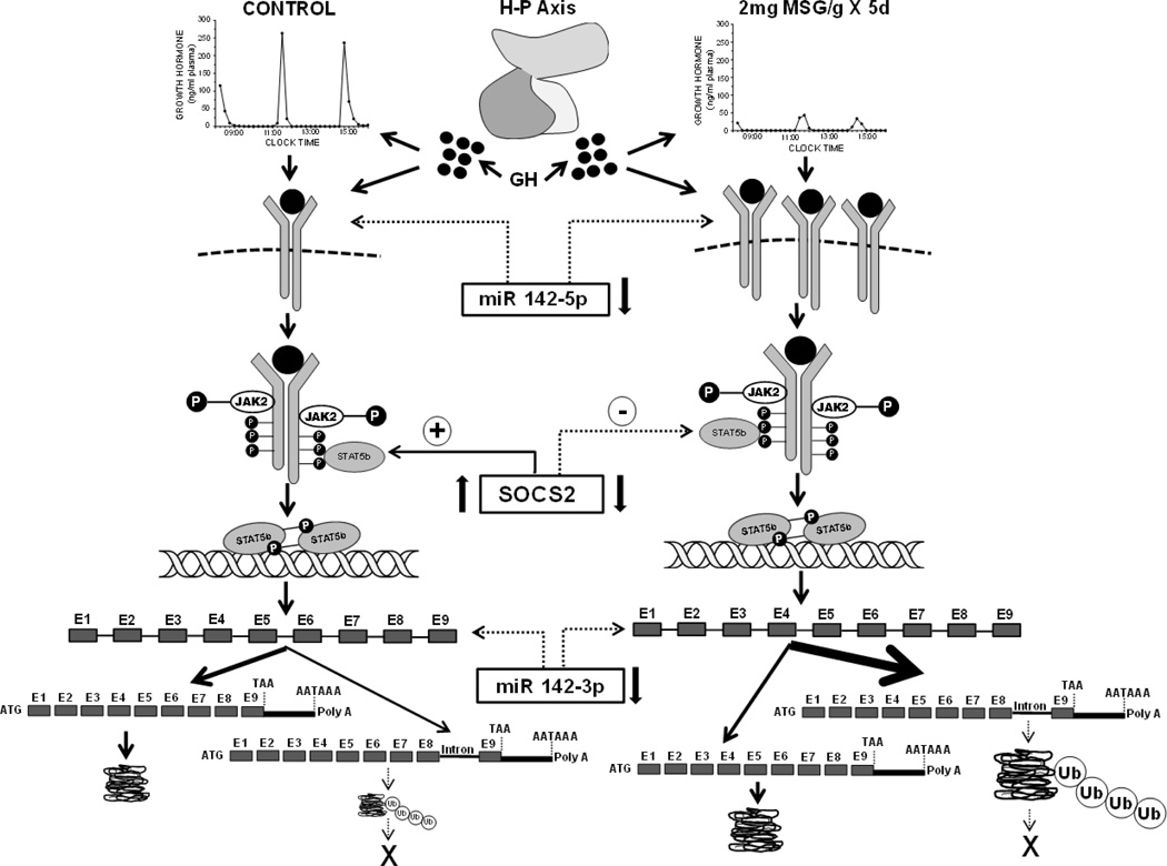 Fig. 9