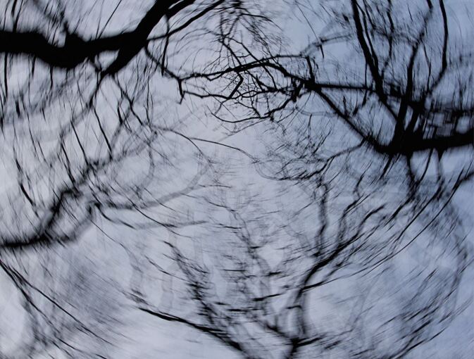 graphic file with name 60_2021_7595_Fig1_HTML.jpg