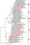Figure 1: