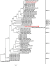 Figure 2: