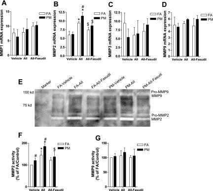 Fig. 8.