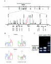 Figure  2