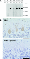 Figure  4