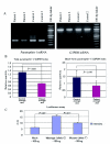 Figure  7