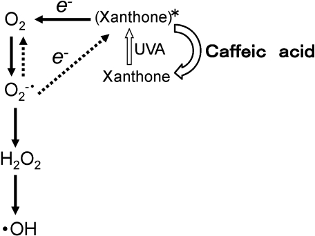 Scheme 1