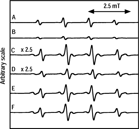 Fig. 2