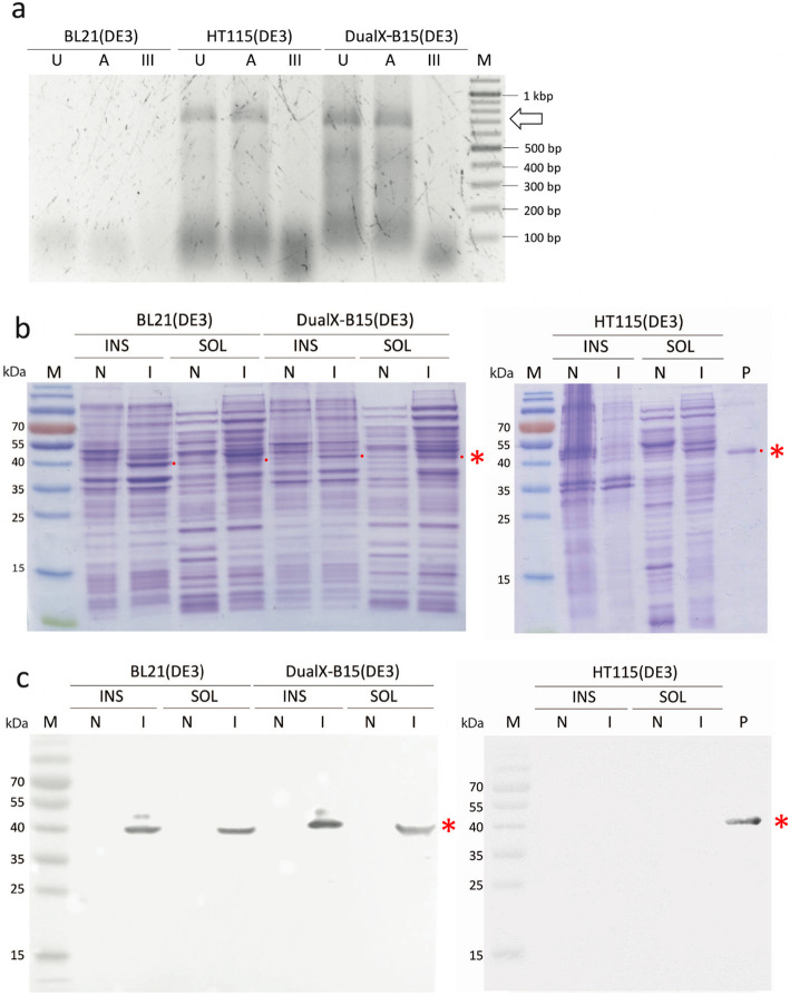 Fig. 6