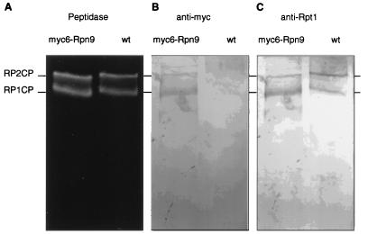 FIG. 6