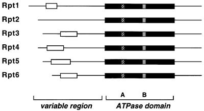 FIG. 7