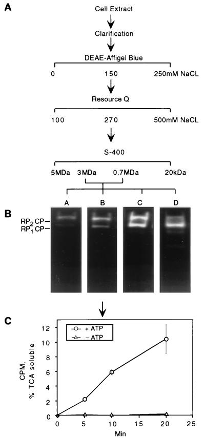 FIG. 1