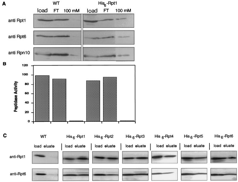 FIG. 10